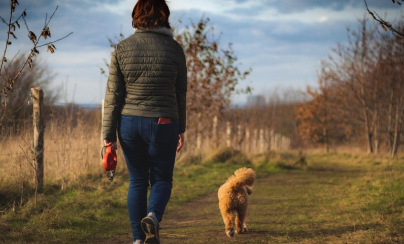 Aktivitäten für Hunde in der Vendée