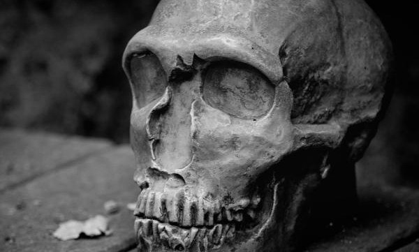 Neanderthal Man Museum