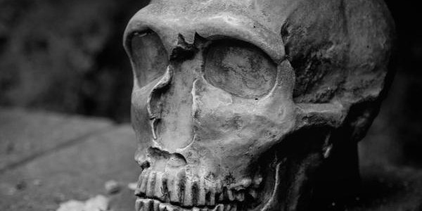 Neanderthal Man Museum