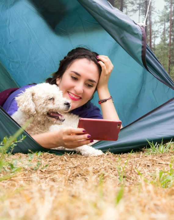 Camping acceptant les animaux