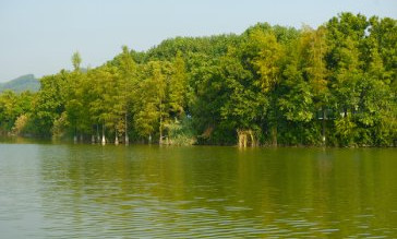 Miniature de lac en Corrèze