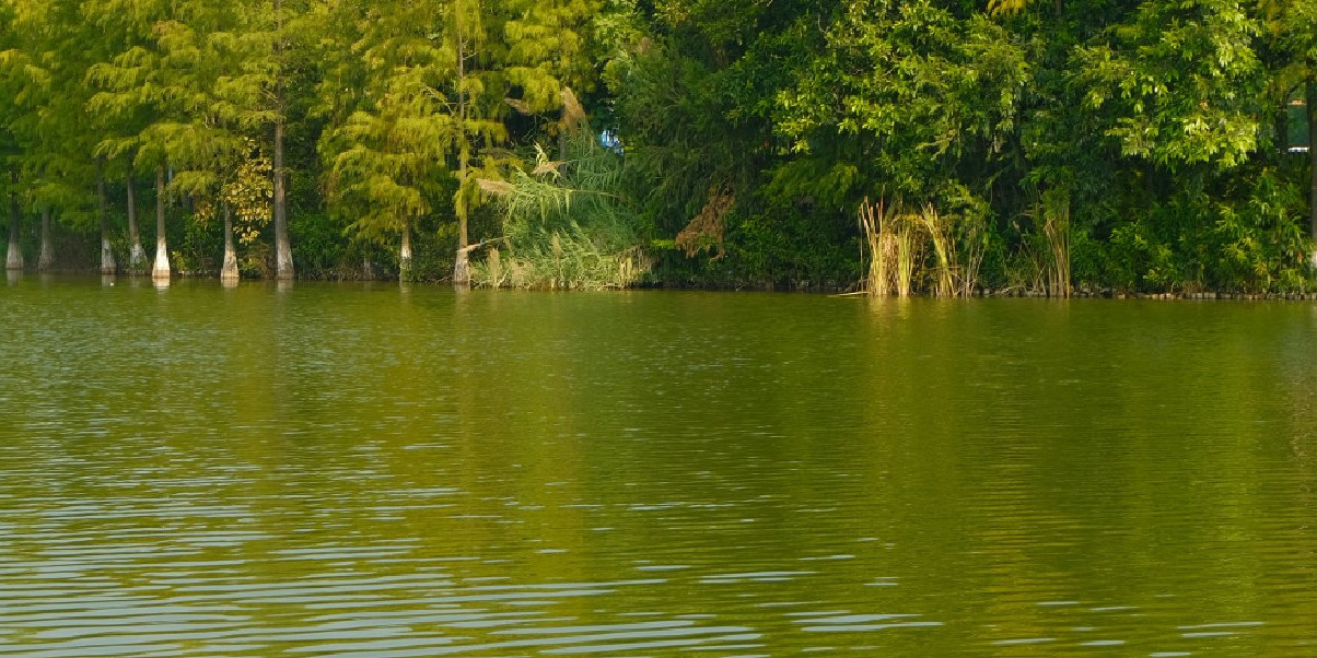 Beaux lacs en Corrèze