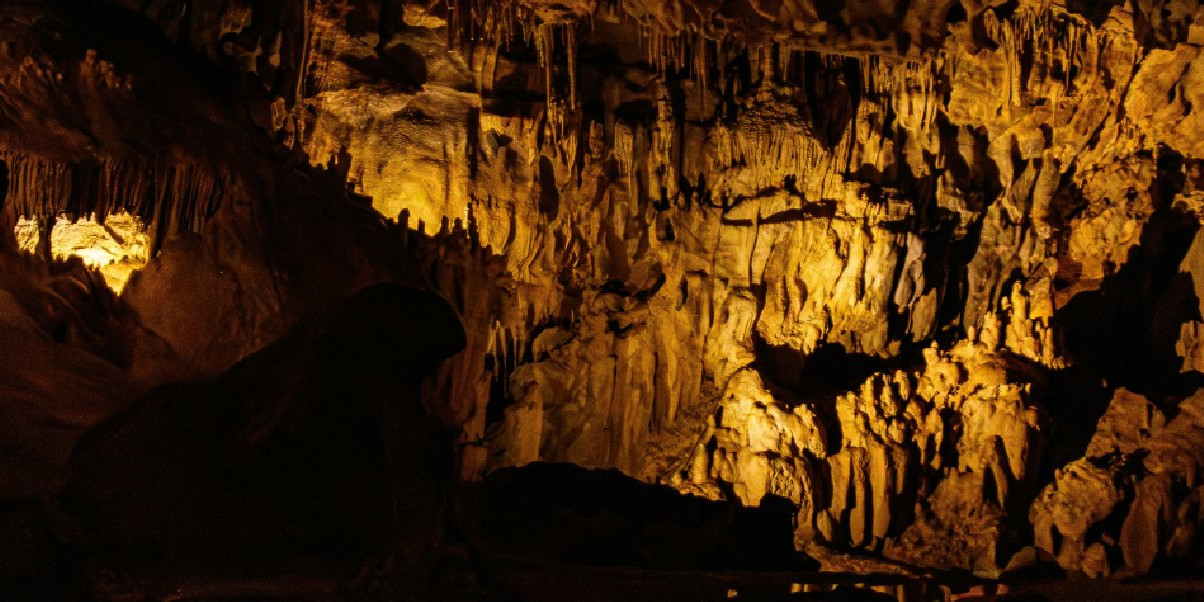 Bannière de la grotte de Lascaux